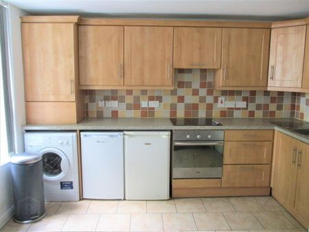 Rugby Avenue, University Quarter!, Belfast, BT7 1RG - Photo 2