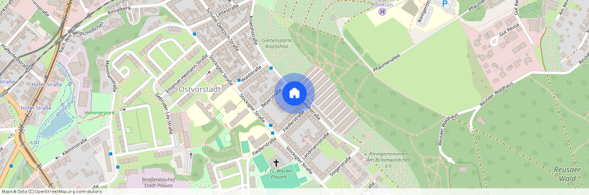 Knielohstraße 39, 08527 Plauen