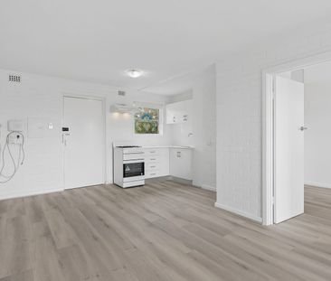Renovated One Bedroom Unit in Security Block - Photo 6