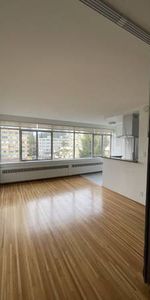 Spacious Open Concept Studio West of Denman - Photo 3