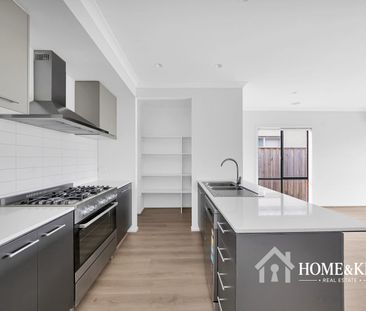 Spacious & Stylish Family Living on a Generous Block - Photo 3