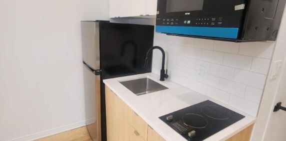 1 CH - 1 SDB - Montréal - $1,195 /mo - Photo 2