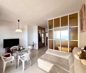 Estudio de alquiler en Avenida Manuel Mena Palma, Cortijo Torrequeb... - Photo 6