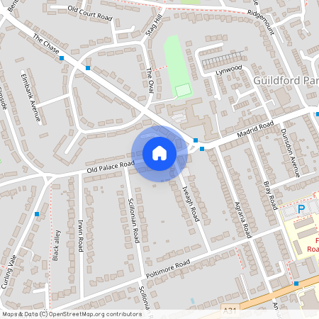 Old Palace Road, Guildford, GU2 7TU