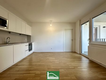 Wundervolle 2-Zimmer Wohnung in toller Lage – Einbauküche und Terrasse inklusive – ab 01.03.2025 beziehbar! - Photo 3