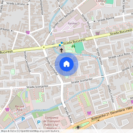 Strada Gorunului, Mărăști, Cluj-Napoca, Zona Metropolitană Cluj, Cluj, 400187, România