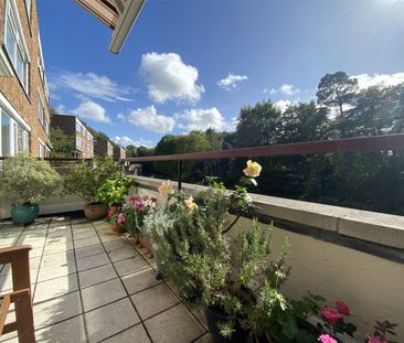 3 Bedroom - Photo 4