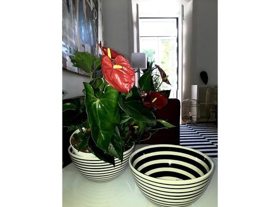 Rua Marquês Ponte de Lima, Lisbon, Lisbon 1100-584 - Photo 1