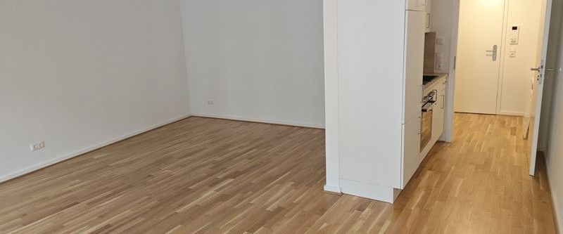1 Raum Wohnung mit Einbauküche und modernen Bad im Neubau - Foto 1