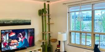 Beautiful, Bright 1 Bedroom Apartment Unit for Rent - Photo 2