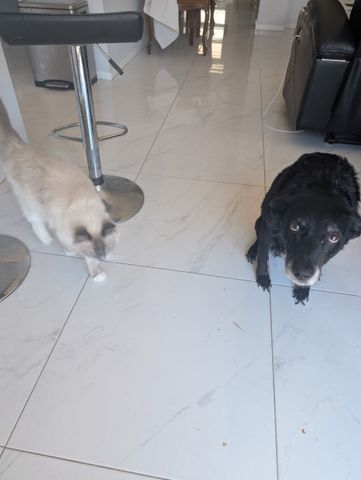 Woongarrah - Photo 3