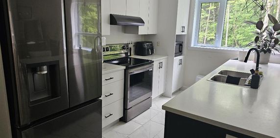 Magnifiques logements neuf 4 ½ avec ascenseur unique ! 450 775.1379 - Photo 2