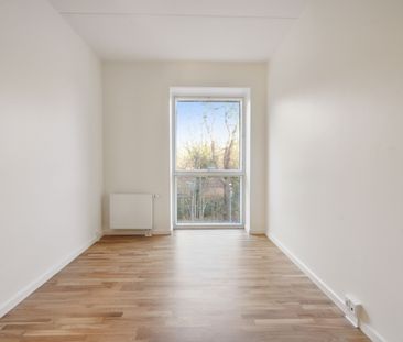 Hollænderen 2, 3. TV - Foto 3