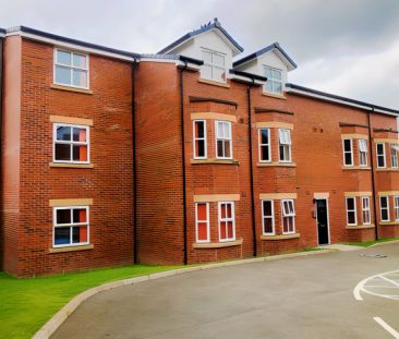 Deluxe Studio - Photo 5