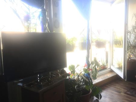 Wohnung in Weil am Rhein (Friedlingen) - Photo 4