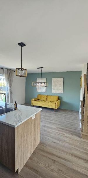 Semi-Detached new build house for rent - Photo 1
