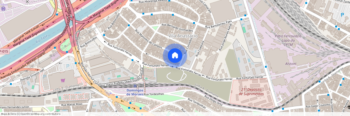 Rua Martinho de Campos, 41, Vila Anastácio, São Paulo, São Paulo, 05093050