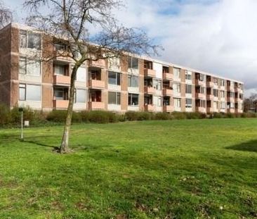 Rochussenstraat 0ong, 6535 VC Nijmegen, Nederland - Foto 3