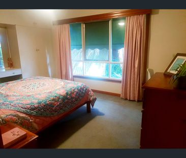 444 Schubach Street, East Albury, NSW 2640 - Photo 4