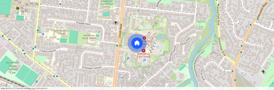 11 Apple Lane, Henderson, Waitakere City