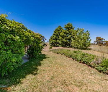 196A Brooklands Road, Wallaroo NSW 2618 - House For Rent | Domain - Photo 4