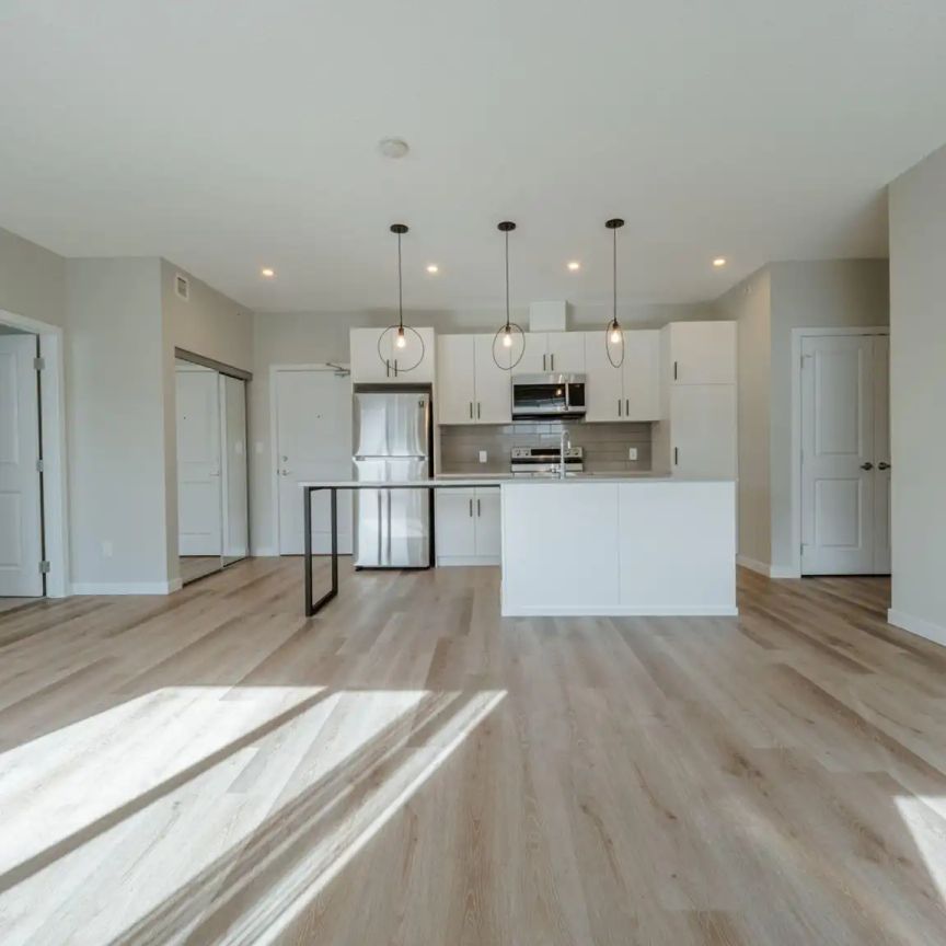 Dwell Luxury 1 & 2 bedroom Suites ! — 2 Bedroom - B5 - Photo 1