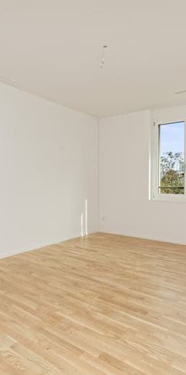 "Neubauwohnung an traumhafter Lage direkt am Seeufer in Rapperswil-Jona" - Foto 1