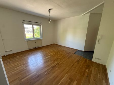 Prov-Frei - Dreihackengasse, nette Großgarconniere inkl. Küche zu vermieten ab sofort - Photo 5