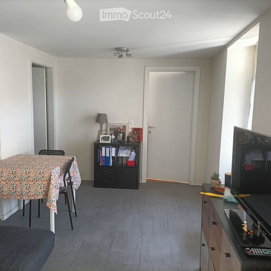 2.5 Zimmer, 36 m² - Foto 1