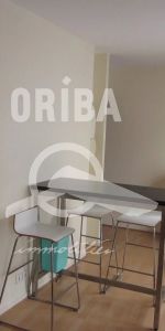 Location Appartement 1 pièce 22m² NANTES 44000 - Photo 3