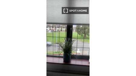 Room for rent in 4-bedroom house in Naas - Photo 4