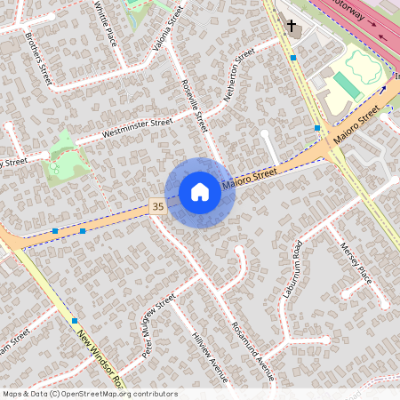 65 Maioro Street, New Windsor, Auckland City