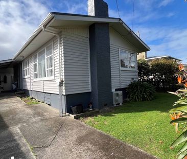 3 Bedroom House - Paeroa - Photo 1