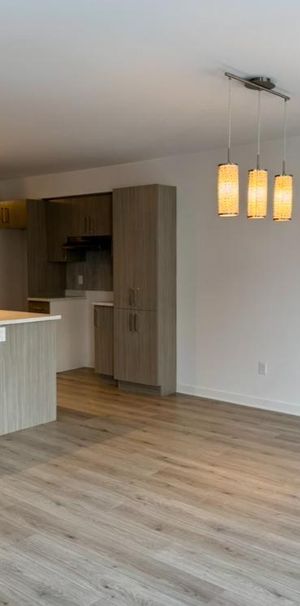 Logement 4 1/2 - Aout 2026 - Photo 1