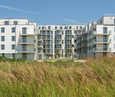 DER BALLON - Ankommen und abheben - NATURNAHES WOHNEN NAHE DER SEES... - Photo 6