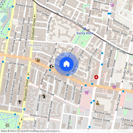 109 Goodlet Street, NSW 2010, Surry Hills