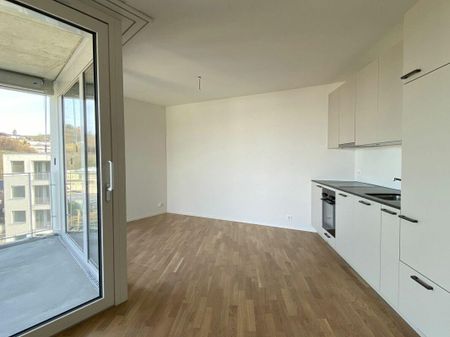 2.5 Zimmer Wohnung - Foto 3