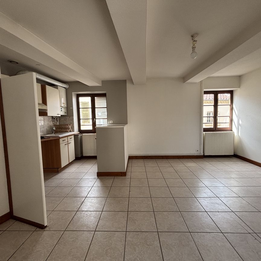 Location Appartement 2 pièces 43m² CHARLIEU 42190 - Photo 1