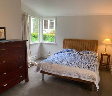 Alfie - Furnished house rental Nelson South - Photo 3