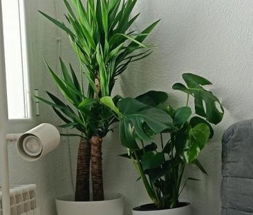 Bright furnished apartment with elevator for rent in Lavapiés neigh... - Photo 4