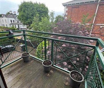 14 Ashleigh Manor, Windsor Avenue , Belfast, BT9 6JY - Photo 4