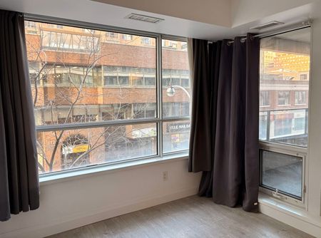 For Lease - 111 Elizabeth Street Unit# 317, Toronto, Ontario - Photo 2