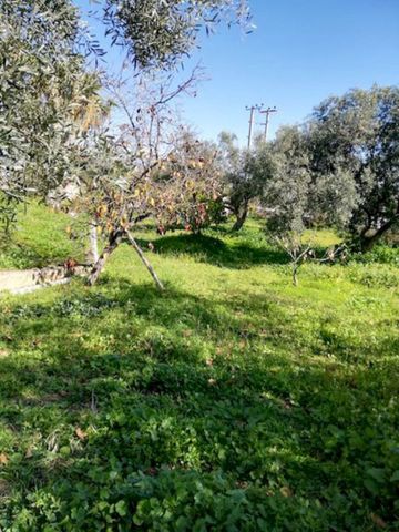Μεζονέτα για ενοικίαση Κορωπί - Photo 5