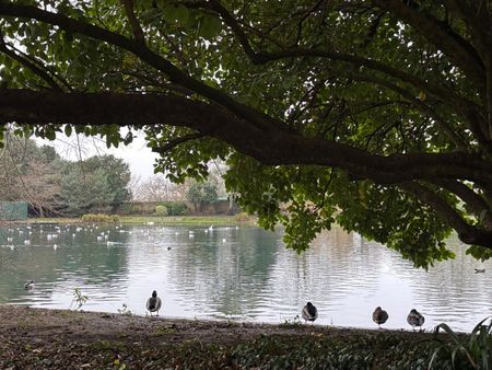 1 Bed Flat, Southsea Heights, W3 - Photo 5