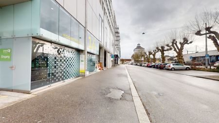 Enjoy the city life of Solothurn! - Photo 4