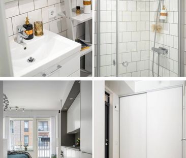 Gaffelseglet, Vega - Photo 5