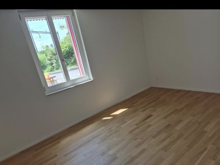 3 Zimmer, 66 m², EG - Foto 3