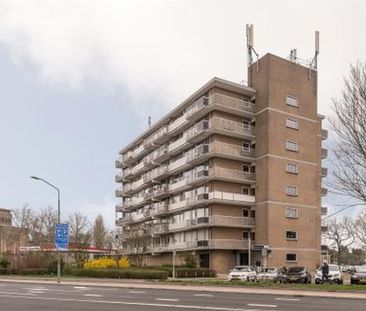 Nagtegaalplaats 3312 AC Dordrecht - Foto 1