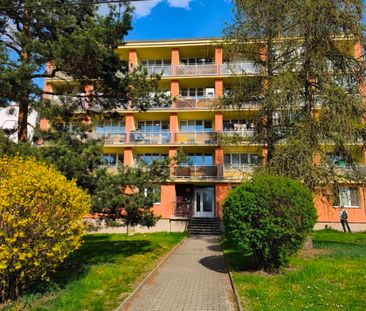 Pronájem bytu 1+kk a garsoniéry 28 m² - Photo 3