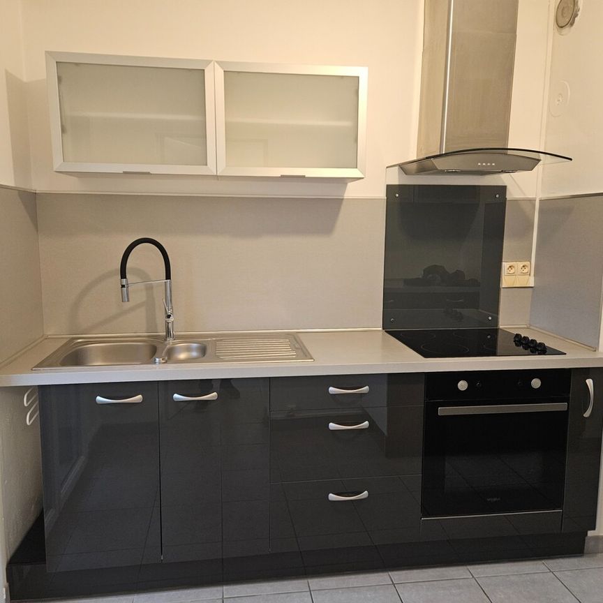 Location Appartement 3 pièces 52m² ROMANS SUR ISERE 26100 - Photo 1